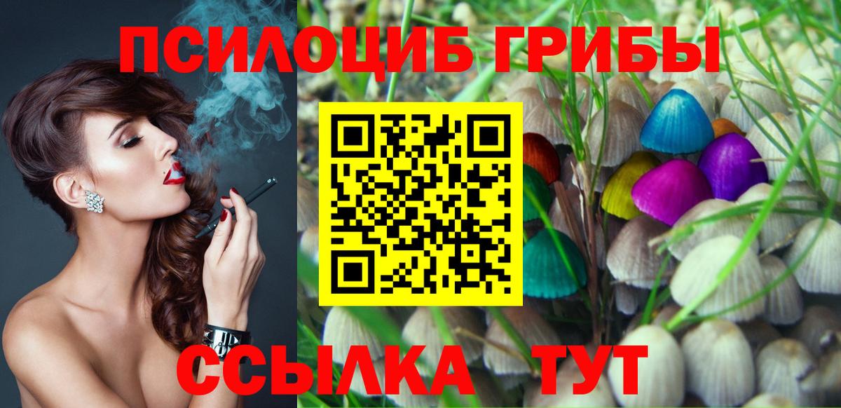 Галлюциногенные грибы MAGIC MUSHROOMS  Вход с VPN  Кувандык 